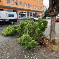 Von einem Baum in der Bahnhofstraße war ein größerer Ast abgeknickt und teilweise auf die Fahrbahn gestürzt. Er wurde mittels Muskelkraft zu Fall gebracht und ...

Laufende Nummer: 49/2025