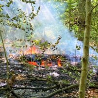 Glücklicherweise noch im Entstehungsstadium wurde am Dienstagnachmittag durch Spaziergänger ein Waldbrand im Bereich der Verlängerung Zum Waldstadion entdeckt. Durch den schnellen Einsatz ...

Laufende Nummer: 64/2025