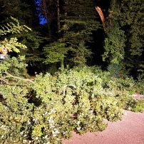 Die Feuerwehr Rodenbach wurde zu einem größeren abgebrochenen Ast in die Frankfurter Straße alarmiert. Dieser wurde mittels Kettensäge zerkleinert und am Wegrand ...

Laufende Nummer: 68/2025