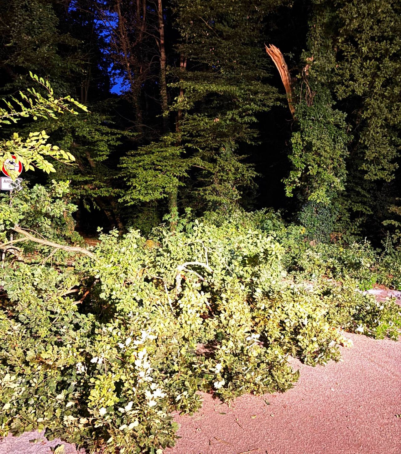 2025_07_18_Ast (1)