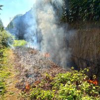 Die Feuerwehr Rodenbach wurde zu einem Böschungsbrand im Bereich der Feldbergstraße alarmiert. Dort brannten an einem Feldweg circa 50 m² Gras und Gestrüpp. Das Feuer wurde ...

Laufende Nummer: 79/2025