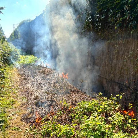 Die Feuerwehr Rodenbach wurde zu einem Böschungsbrand im Bereich der Feldbergstraße alarmiert. Dort brannten an einem Feldweg circa 50 m² Gras und Gestrüpp. Das Feuer wurde ...

Laufende Nummer: 79/2025