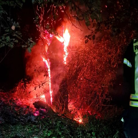 In der Feldgemarkung zwischen Oberrodenbach und Lochseif brannten ein hohler Baum sowie ca. 10 m² Gras und Gestrüpp. Das Feuer wurde mit einem C-Strahlrohr abgelöscht. Durch das ...

Laufende Nummer: 80/2025