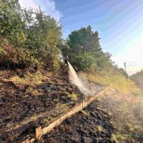 Die Feuerwehr Rodenbach wurde zu einem Bahndammbrand alarmiert. Im Bereich des Bahnhauses brannten circa 50 m² Gras und Gestrüpp. Dies ...

Laufende Nummer: 76/2025