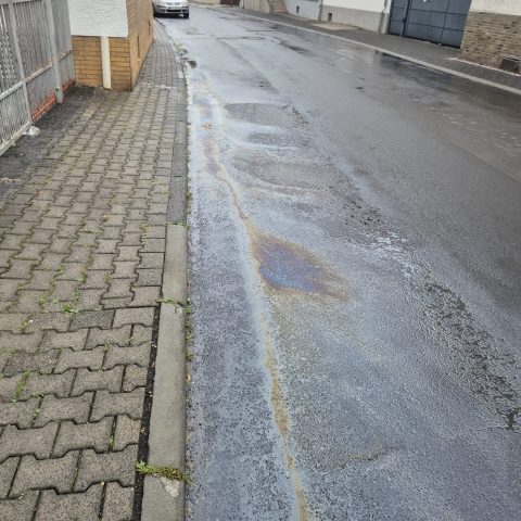 Die Leitung der Feuerwehr wurde zur Erkundung einer Ölspur im Bereich der Hanauer Straße alarmiert. Die Verunreinigungen wurden auf einer Gesamtlänge von ca. 50 Metern mittels Flüssigentölungsmittel beseitigt.

Laufende Nummer: 92/2025