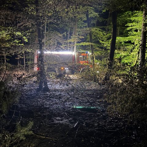 Der vom vorherigen Waldbrand betroffene Bereich wurde planmäßig auf Glutnester kontrolliert. Einzelne Glutnester wurden mithilfe eines Löschrucksacks abgelöscht...

Laufende Nummer: 37/2026