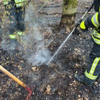 Die Feuerwehr Rodenbach wurde in den frühen Morgenstunden an die Einsatzstelle des gestrigen Waldbrandes alarmiert. Vor Ort kam es an drei Stellen noch zu einer leichten Rauchentwicklung. Diese wurden mit einem&nbsp; Löschrucksack und Spaten abgelöscht.

Laufende Nummer: 38/2026