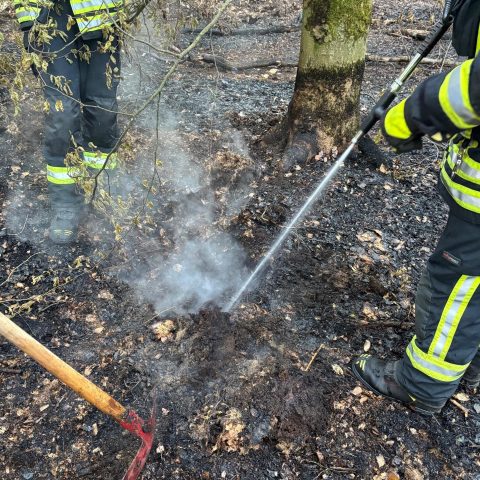 Die Feuerwehr Rodenbach wurde in den frühen Morgenstunden an die Einsatzstelle des gestrigen Waldbrandes alarmiert. Vor Ort kam es an drei Stellen noch zu einer leichten Rauchentwicklung. Diese wurden mit einem&nbsp; Löschrucksack und Spaten abgelöscht.

Laufende Nummer: 38/2026