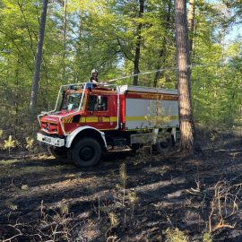 Die Feuerwehr Rodenbach wurde Mittwochnachmittag gegen 15 Uhr zu einem größeren Waldbrand in Richtung der Landesgrenze zu Bayern alarmiert. Angefacht durch Wind konnte sich ein Bodenfeuer zügig auf ca. 12.000 qm ausbreiten und erreichte schließlich eine Ausdehnung von ca. 120 auf 100 Meter...

Laufende Nummer: 36/2026