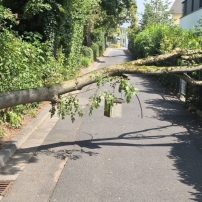 Am Mittwochabend wurde die Feuerwehr Rodenbach zu einem umgestürzten Baum in der Ulmenstraße alarmiert. Der rund zehn Meter lange Baum blockierte den Schulweg. Die Einsatzkräfte zerkleinerten den Baum mittels ...

Laufende Nummer: 79/2026