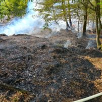 Die Feuerwehr Rodenbach wurde am Sonntagvormittag gegen 10:30 Uhr zu einem Waldbrand im Bereich des Kaiserfeldes in Richtung Hanau-Wolfgang alarmiert. Da zunächst unterschiedliche Meldungen über ...

Laufende Nummer: 66/2026