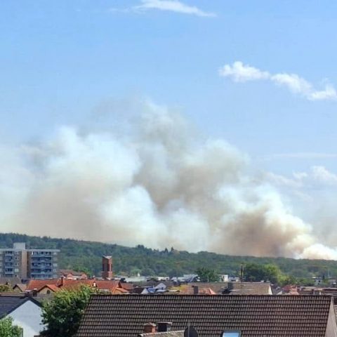 Die Feuerwehr Rodenbach wurde am Montagmittag um 11:45 Uhr zu einem Waldbrand in den Bereich des Wochenendgebietes „Niederrodenbacher Wingerte“ alarmiert. Bereits auf der Anfahrt kristallisierte sich durch zahlreiche Notrufe heraus, dass es an zwei nahe beieinander liegenden Stellen gleichzeitig brennt. Sofort wurden die Kräfte aus Rodenbach auf ...

Laufende Nummern: 70 - 77/2026