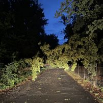 Die Feuerwehr Rodenbach wurde am Freitagmorgen zu einen umgestürzten Baum am Aueweg alarmiert. Der Baum war dort quer über den Weg gestürzt…

Laufende Nummer: 82/2026