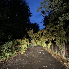 Die Feuerwehr Rodenbach wurde am Freitagmorgen zu einen umgestürzten Baum am Aueweg alarmiert. Der Baum war dort quer über den Weg gestürzt…

Laufende Nummer: 82/2026